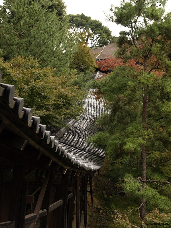 Chrm Kodai-ji