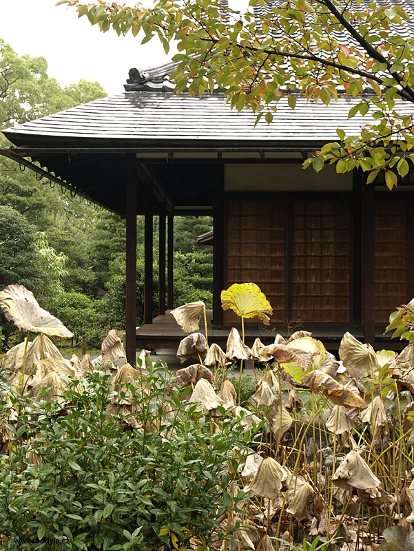 Japonsk podzim v zahrad Shosei-en
