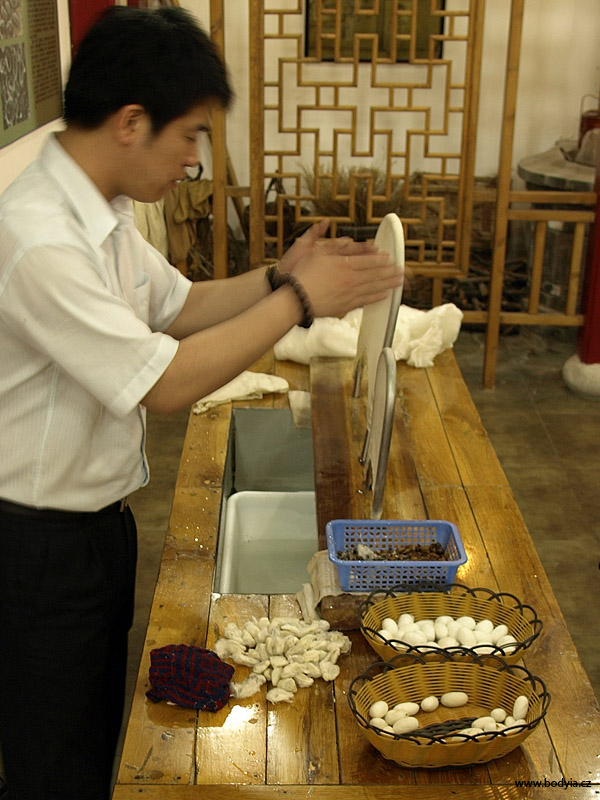 nsk poklad,silk-maker bourec moruov.