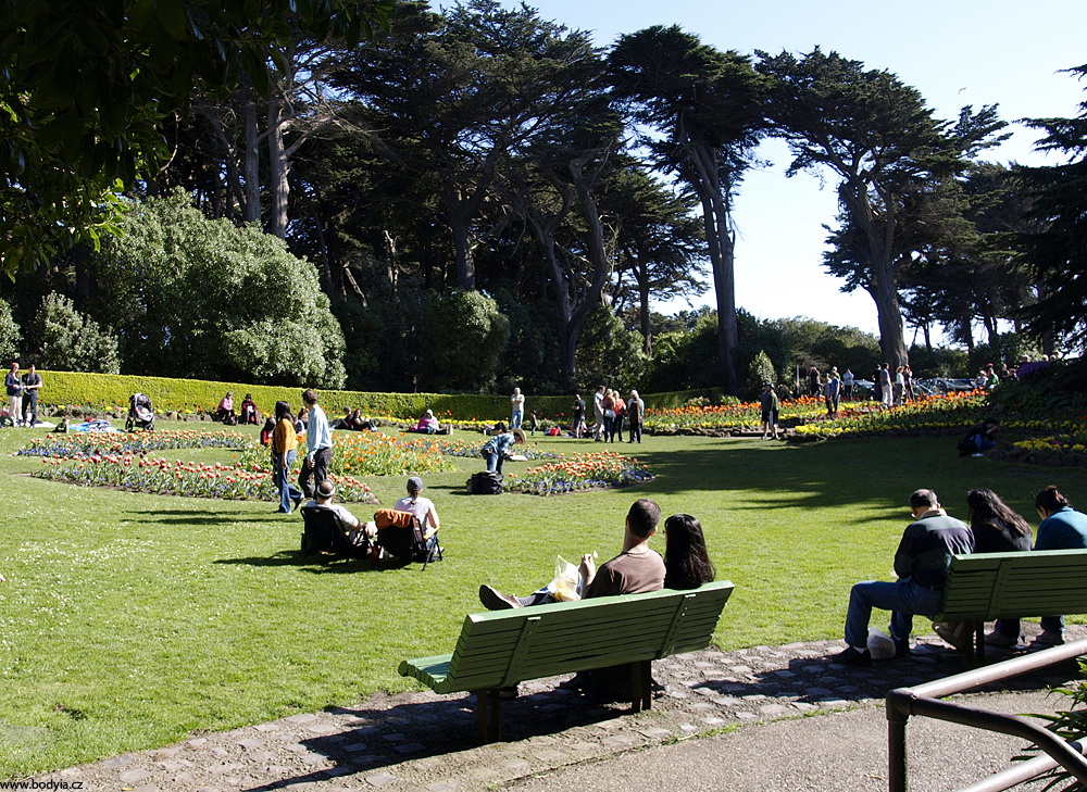 Golden gate park