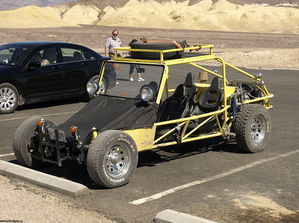 Hand made buggy