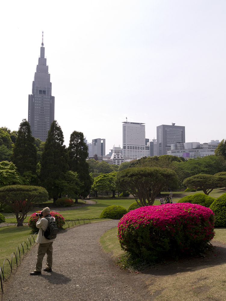 Shinjuku Gyoen Park