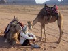 Wadi Rum