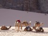 Wadi Rum