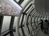 SkyTree uvnit